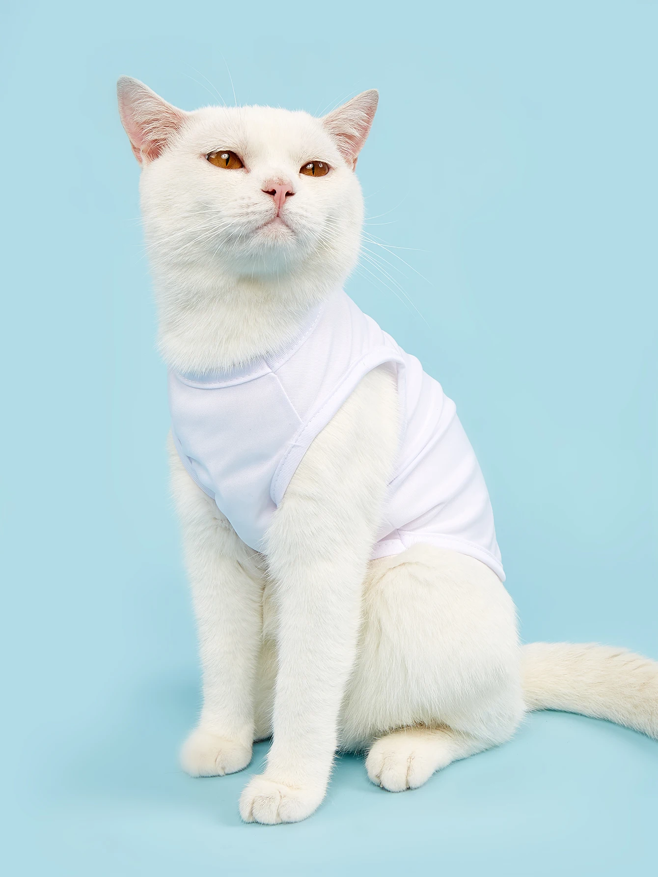 Vestido para perro, chaleco para cachorro, ropa para perros pequeños y medianos, ropa para gato, ropa para primavera y verano - imagen 3