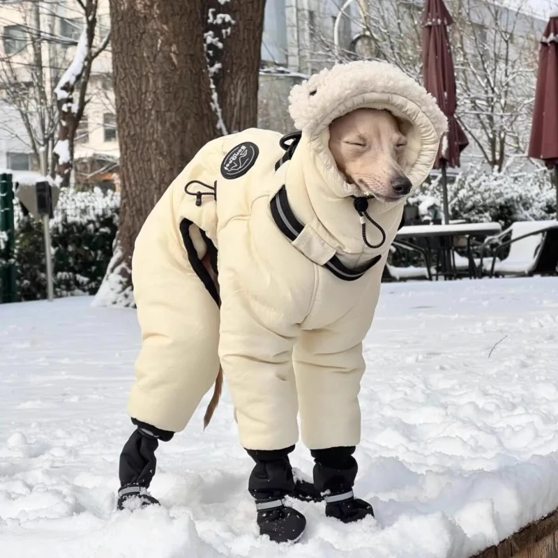 Abrigo impermeable para Greyhound – Protección frío invierno exterior - imagen 3