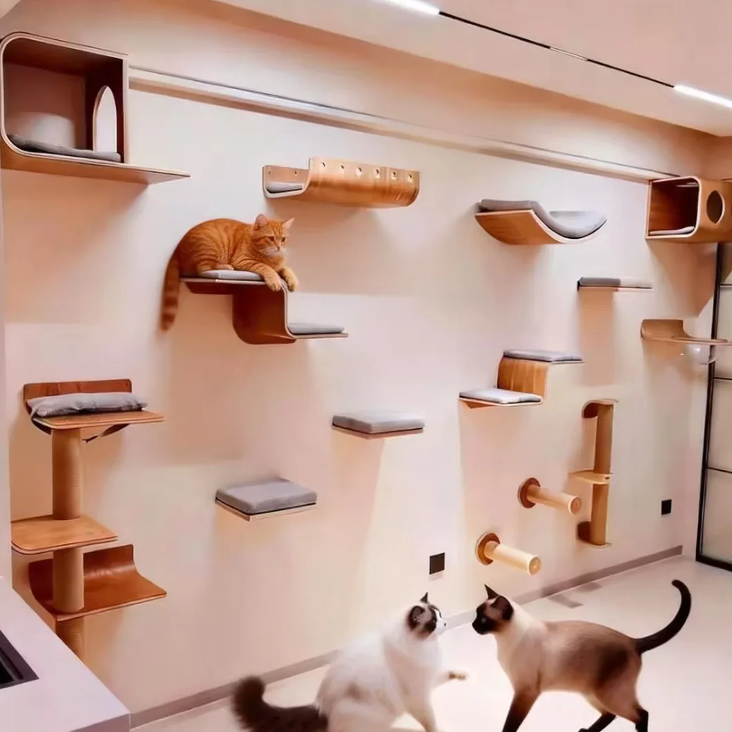 Árbol rascador gatos – Mueble elegante para adultos y Sphynx - imagen 4