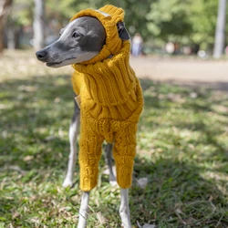 Suéter de invierno grueso para perros grandes – cuello alto y cálido