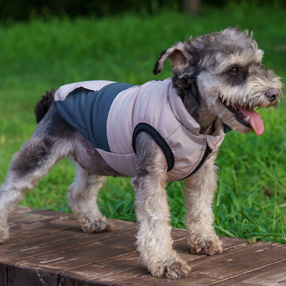 Abrigo cálido de invierno para perro, chaqueta impermeable para perros pequeños, ropa acolchada para Bulldog Francés, ropa para Chihuahua, suministros para mascotas - imagen 2