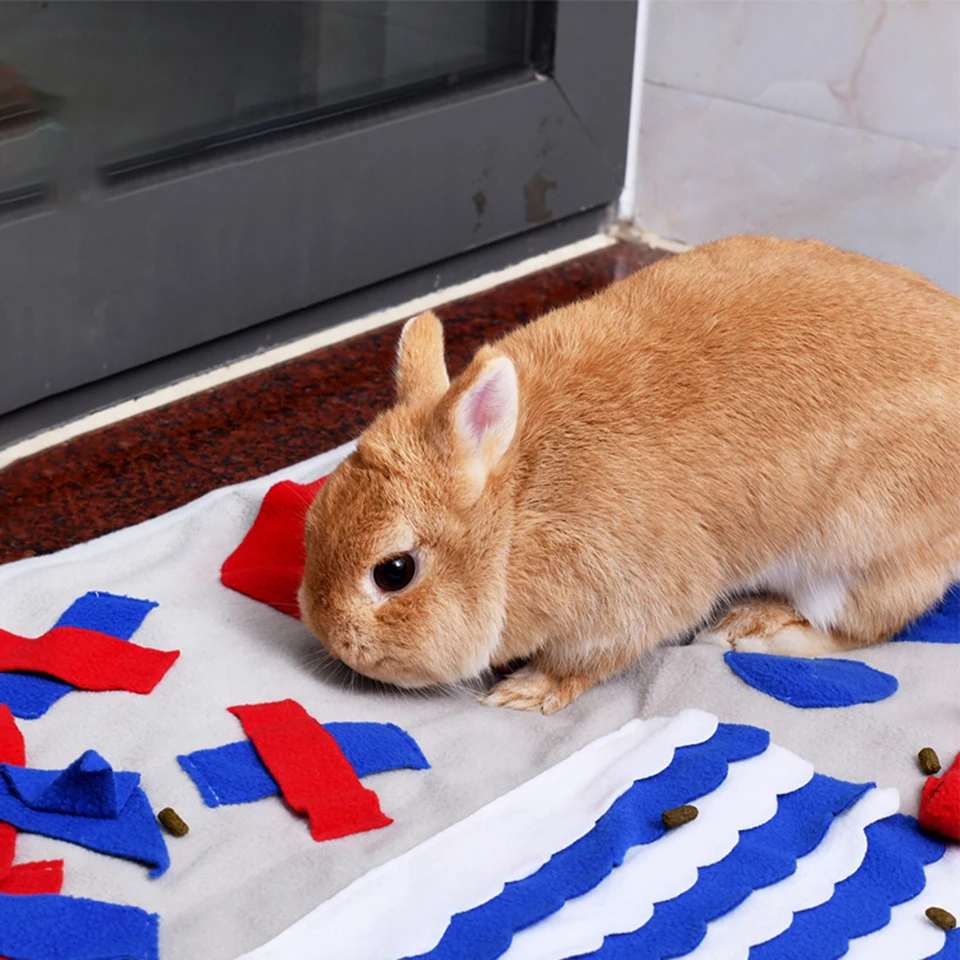 NONOR-alfombrilla de alimentación para perros, dispensador interactivo de rompecabezas, juguete que estimula las habilidades de forajeo Natural para perros grandes, 1 unidad - imagen 5