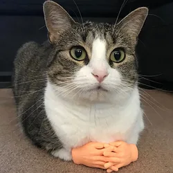 Guante de silicona para masaje felino - juguete Halloween