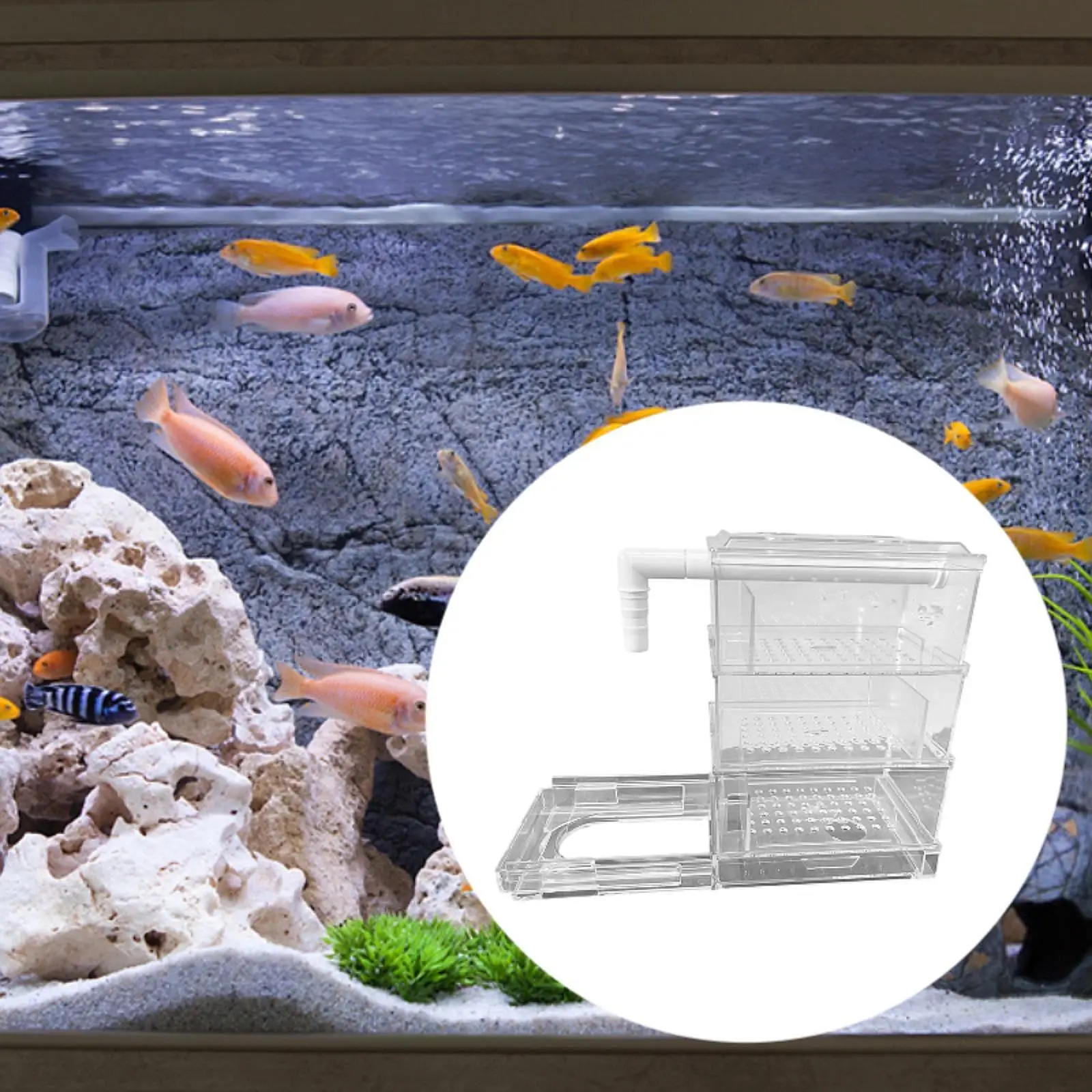Aquarium Filter Drip Box Overflow Pipe Filter Circulation Water Cleaning Multi Layer Filtration Device Fish Tank Top Filter Aquarium Filter Drip Box Overflow Pipe Filter Circulation Water Cleaning Multi Layer Filtration Device Fish Tank Top Filter