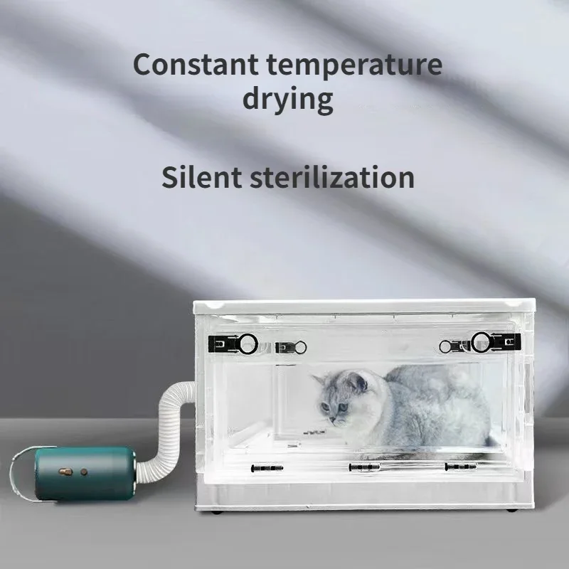 Secador de pelo portátil para mascotas para el cuidado de perros, hogar, profesional, perros pequeños, gatos, accesorios para el cuidado de mascotas, suministros para mascotas - imagen 2