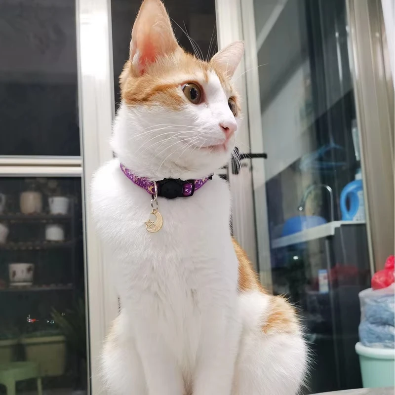 Collar ajustable para gatos con estampado luminoso, bonito Collar para mascotas para gatos, perros pequeños, Collar de lujo para gatitos, Collar para cachorros, accesorios para gatos - imagen 2