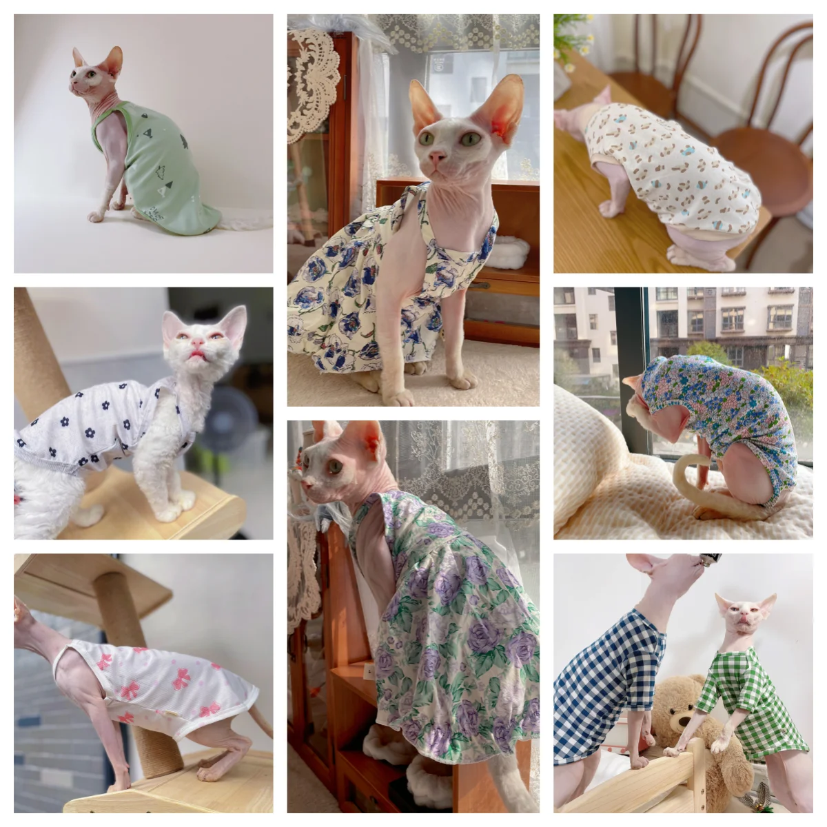 Sphynx-ropa para gatos, camiseta de algodón agradable para la piel, vestido, chaleco de verano para gatitos, perros, Devon Rex, ropa de descanso suave, suministros para gatos