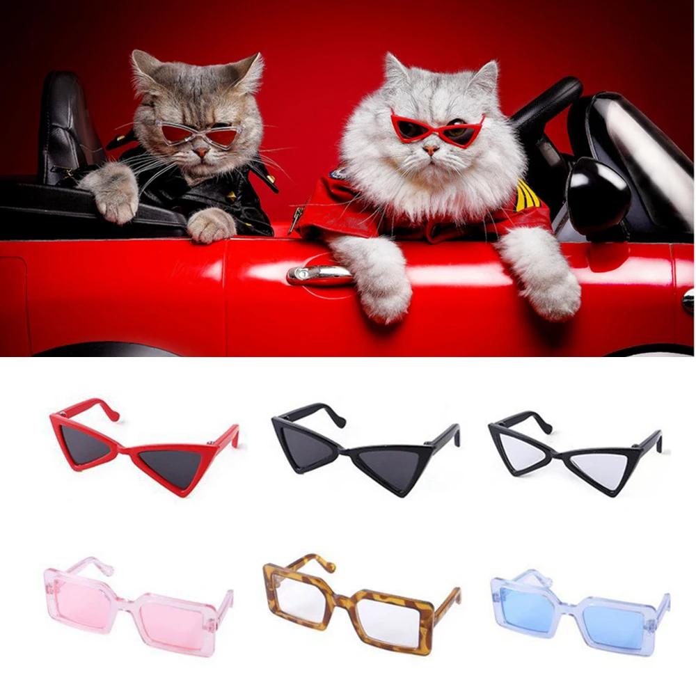 Gafas gato XLeiPet - Vista principal del producto