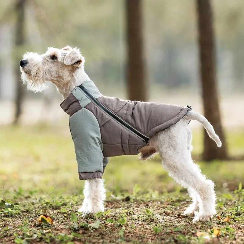 Winter Protection Dog Two-legged Cotton Clothes Warm Autumn Dog Clothes Windproof Cold Proof Pet Small Dogs Clothing Adjustable - imagen 2