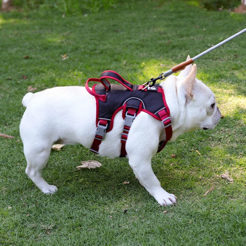 Arnés tres etapas antiescape para perros – Ajustable con correa de sujeción - imagen 5