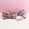 Bow Collar Leash Set