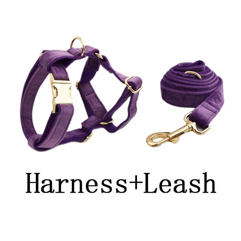 harness leash