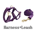 harness leash