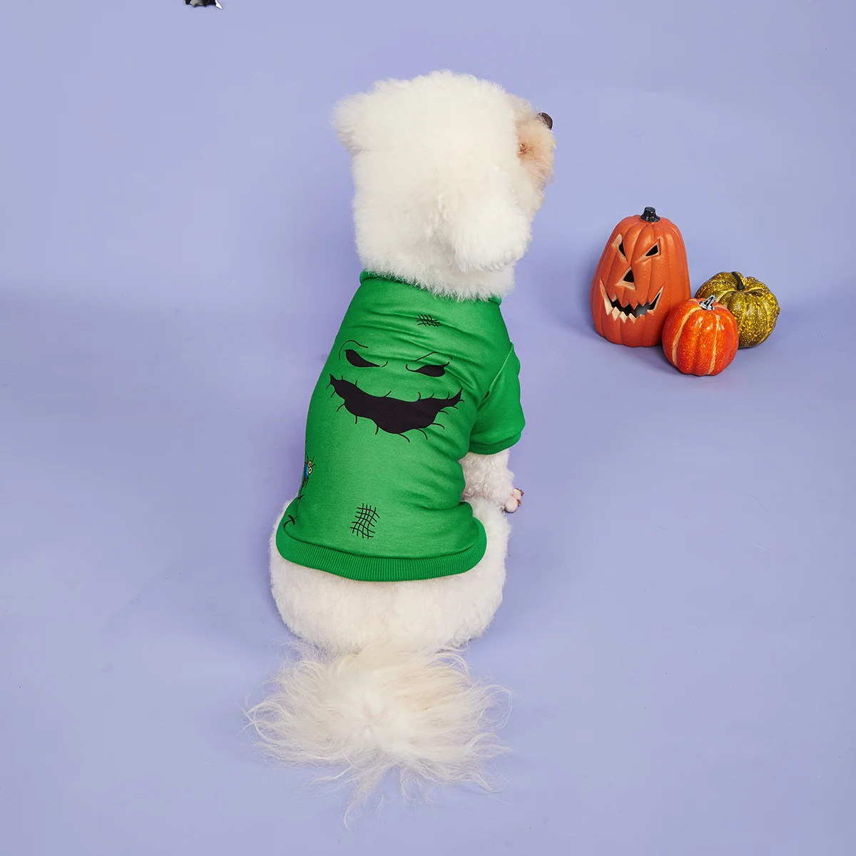 Ropa de Halloween para perros, camisas con capucha para perros, estampado de insectos, expresión aterradora, Sudaderas con cuello alto para mascotas - imagen 2