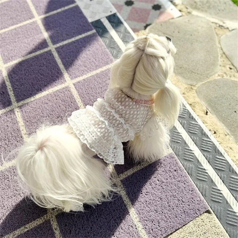 Pet Spring Polka Dot Lace Little Fairy Lace Skirt Cute Lace Base Shirt Teddy Vest Dog Cat Clothes Puppy Clothes - imagen 3