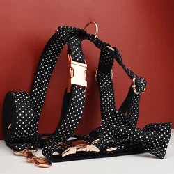 Conjunto collar correa arnés y lazo para perro