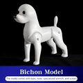 Bichon Model