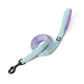 Pastel Lilac