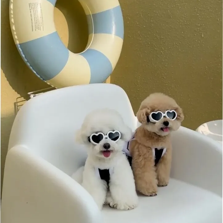 Gafas para mascotas INS, gafas de sol en forma de corazón, gafas resistentes al viento y a los rayos UV, adecuadas para perros pequeños, gatos, accesorios para perros - imagen 4