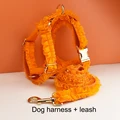 Harness   leash