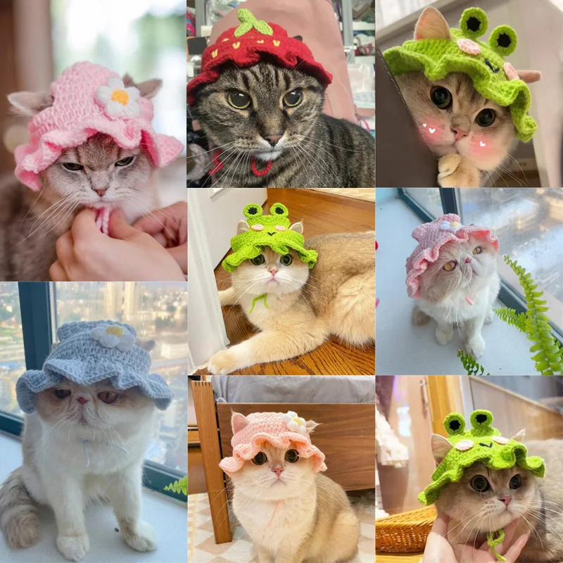 Gorro para gato de otoño e invierno, gorro elástico bonito y refinado para mascotas, gorro tejido para cachorros y gatitos, accesorios para sesión de fotos de fiesta, decoración para gatos - imagen 2