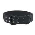 Black Dog Collar