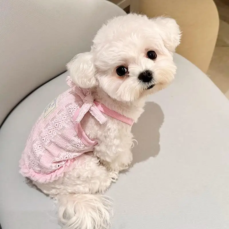 Chaleco azul de verano para mascotas, camisola fina y transpirable, chaleco hueco, ropa de encaje para perros pequeños, ropa para cachorros, chaleco refrescante - imagen 4