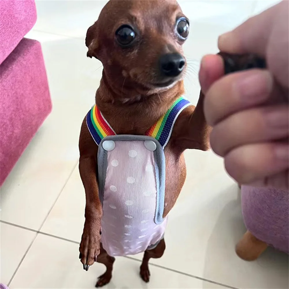 Pañales lavables para cachorros y perros, pantalones fisiológicos para mascotas para perros pequeños y medianos, pantalones cortos para Chihuahua Pinscher, bragas, calzoncillos para gatos - imagen 3