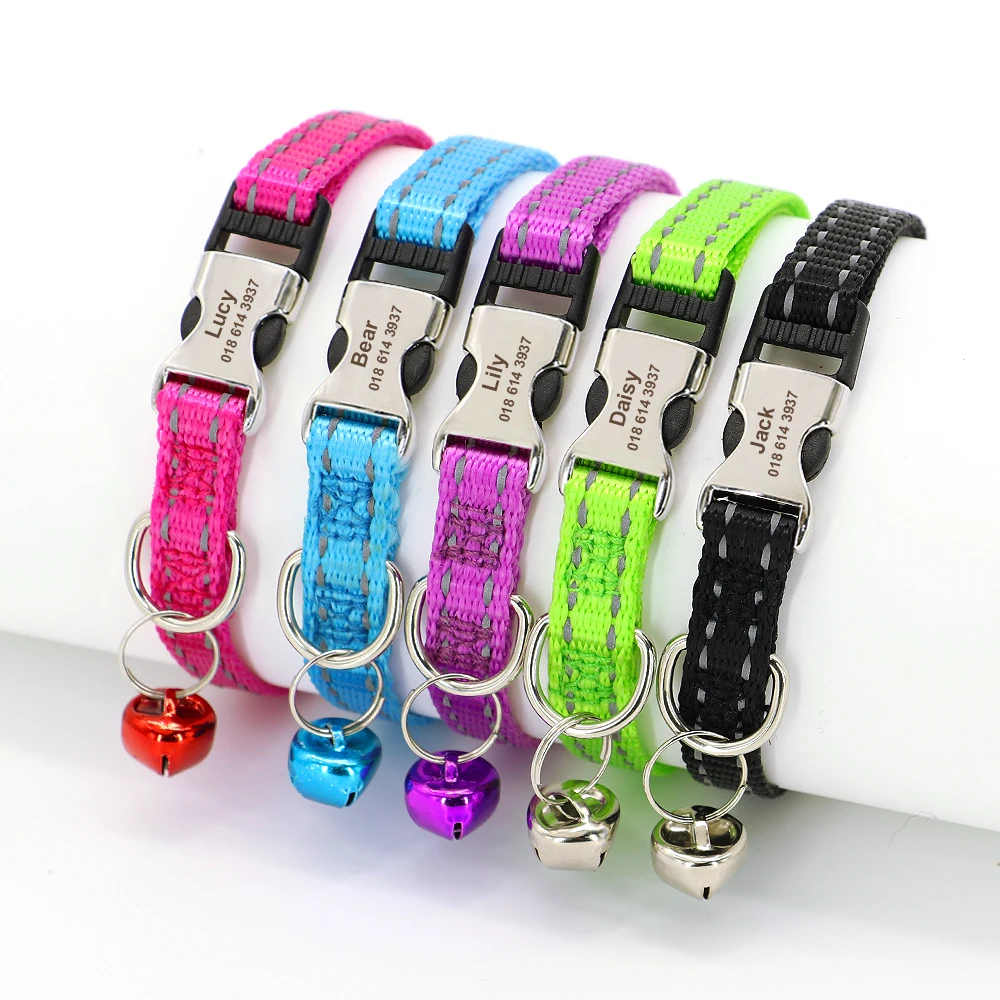 Collar en gato mostrando ajuste y campana