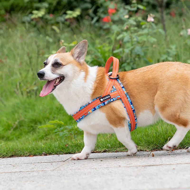 Arnés para perros con asa, chaleco reflectante, arnés ajustable para mascotas al aire libre para perros pequeños, medianos y grandes, Clip frontal, viajes de senderismo