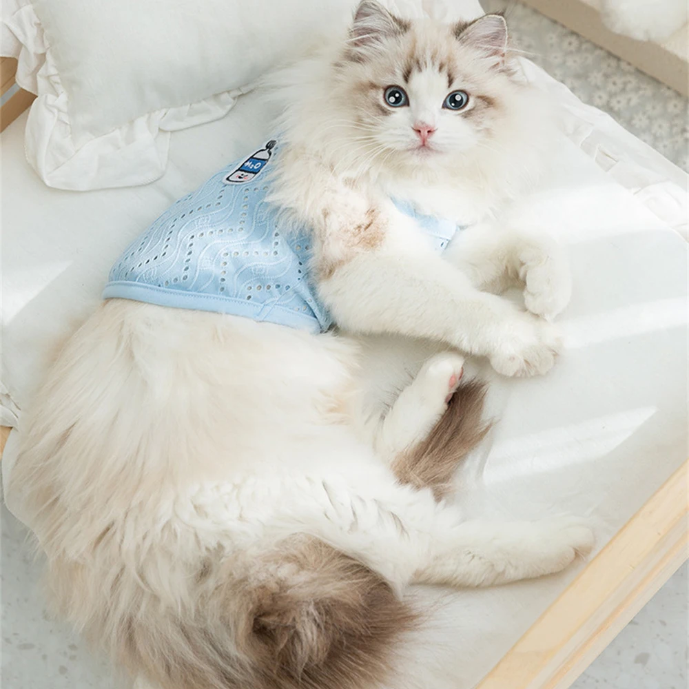 Chaleco camisola ahuecado para mascotas, ropa transpirable para perros pequeños, gatos y gatitos, Verano - imagen 4