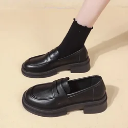 Zapatos para gatos y perros - estilo japonés, cómodo y seguro