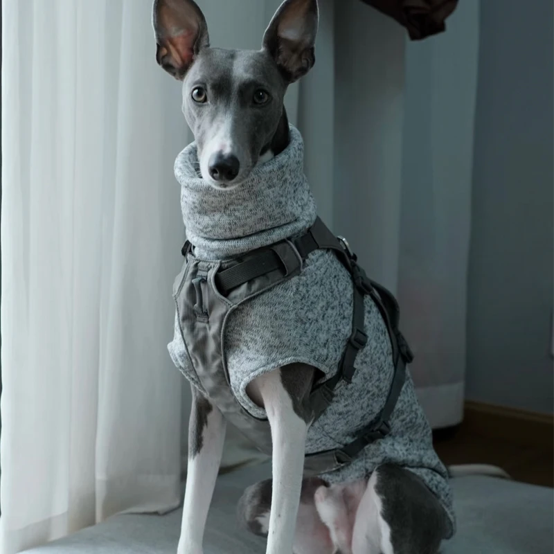 Ropa suave de galgo italiano Whippet, chaleco ligero para perros medianos y grandes, pijamas de cuello alto para mascotas, monos para pastor - imagen 2