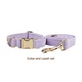collar and leash set