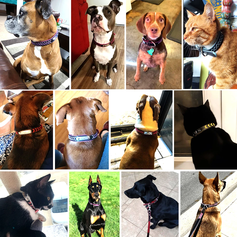Collar de perro de cuero PU personalizado, collares trenzados personalizados para perros, Collar acolchado para mascotas, grabado gratis para perros pequeños, medianos y grandes, Pug - imagen 5