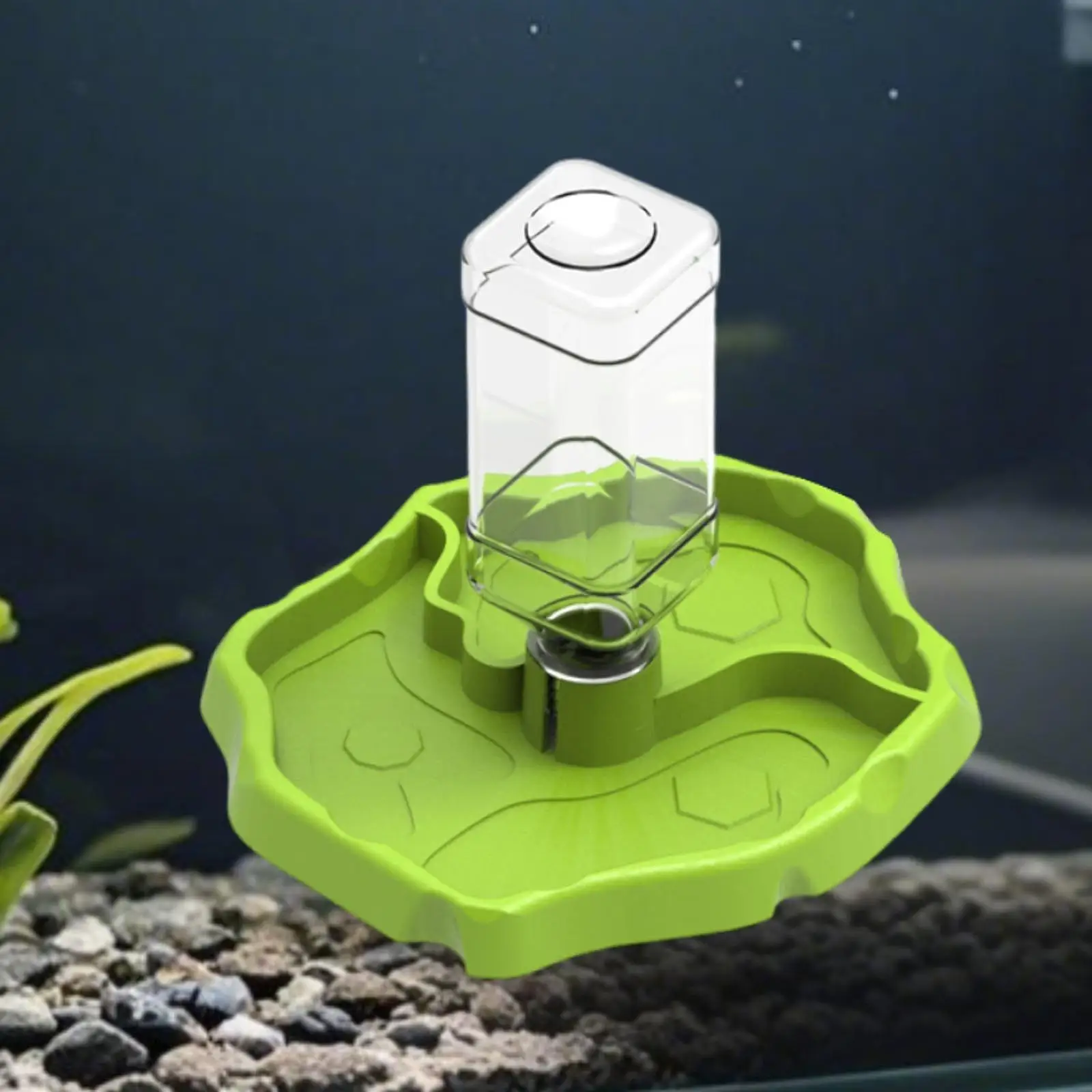 Reptile Feeder Reptile Food Dish Multifunctional Tank and Aquarium Accessories