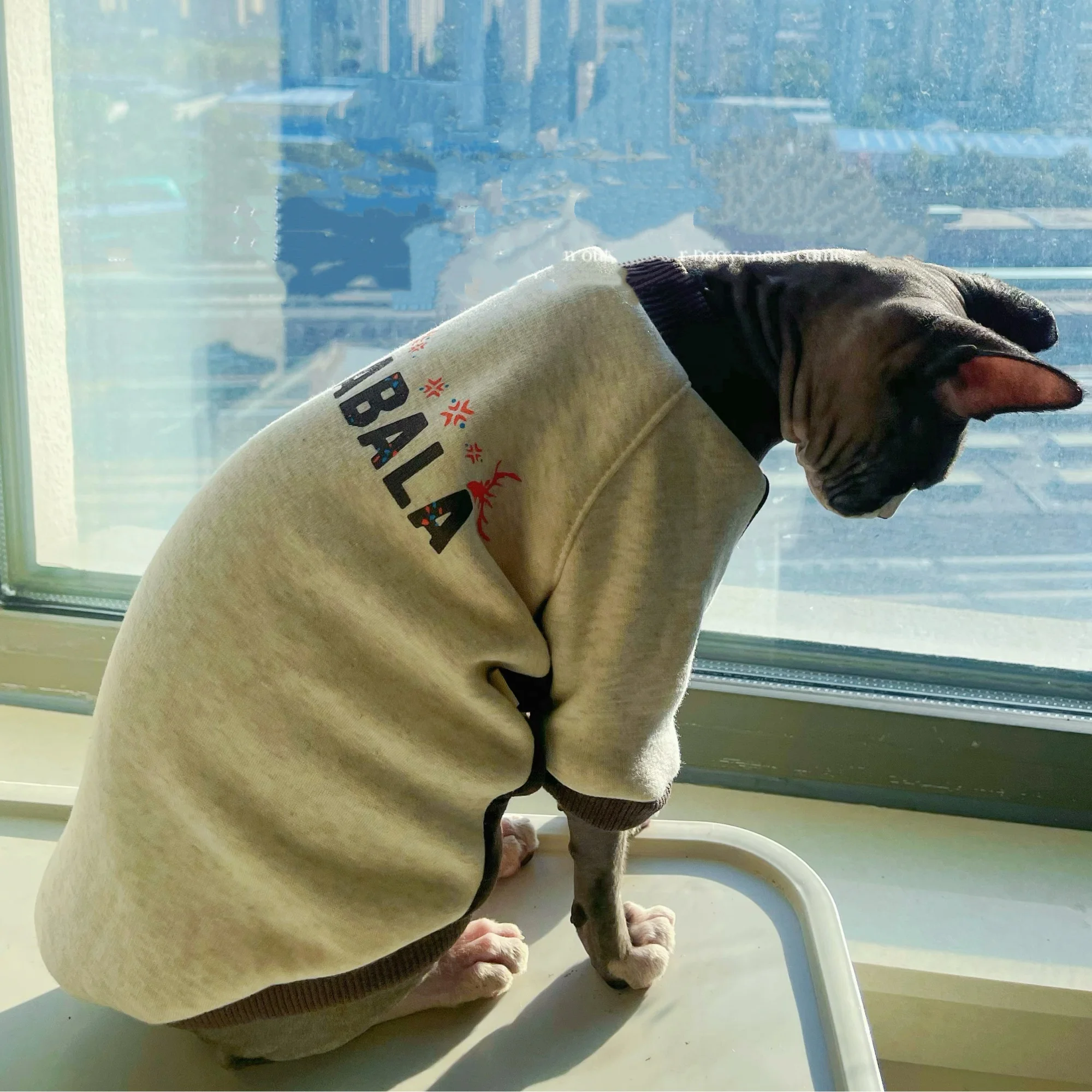 Sudadera de lana gris a la moda para gato Sphynx en invierno, abrigo cálido de manga larga para Devon Rex, pijamas elásticos de otoño para gatitos - imagen 2