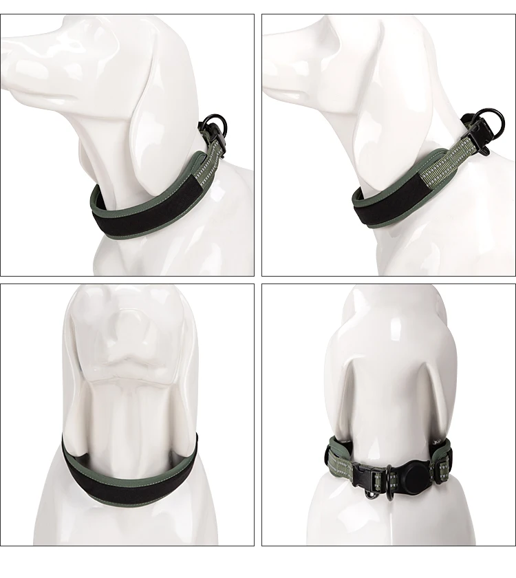 Un perro blanco con collar verde