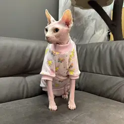 Abrigo de lana rosa para gato Sphynx – Cálido y suave para invierno