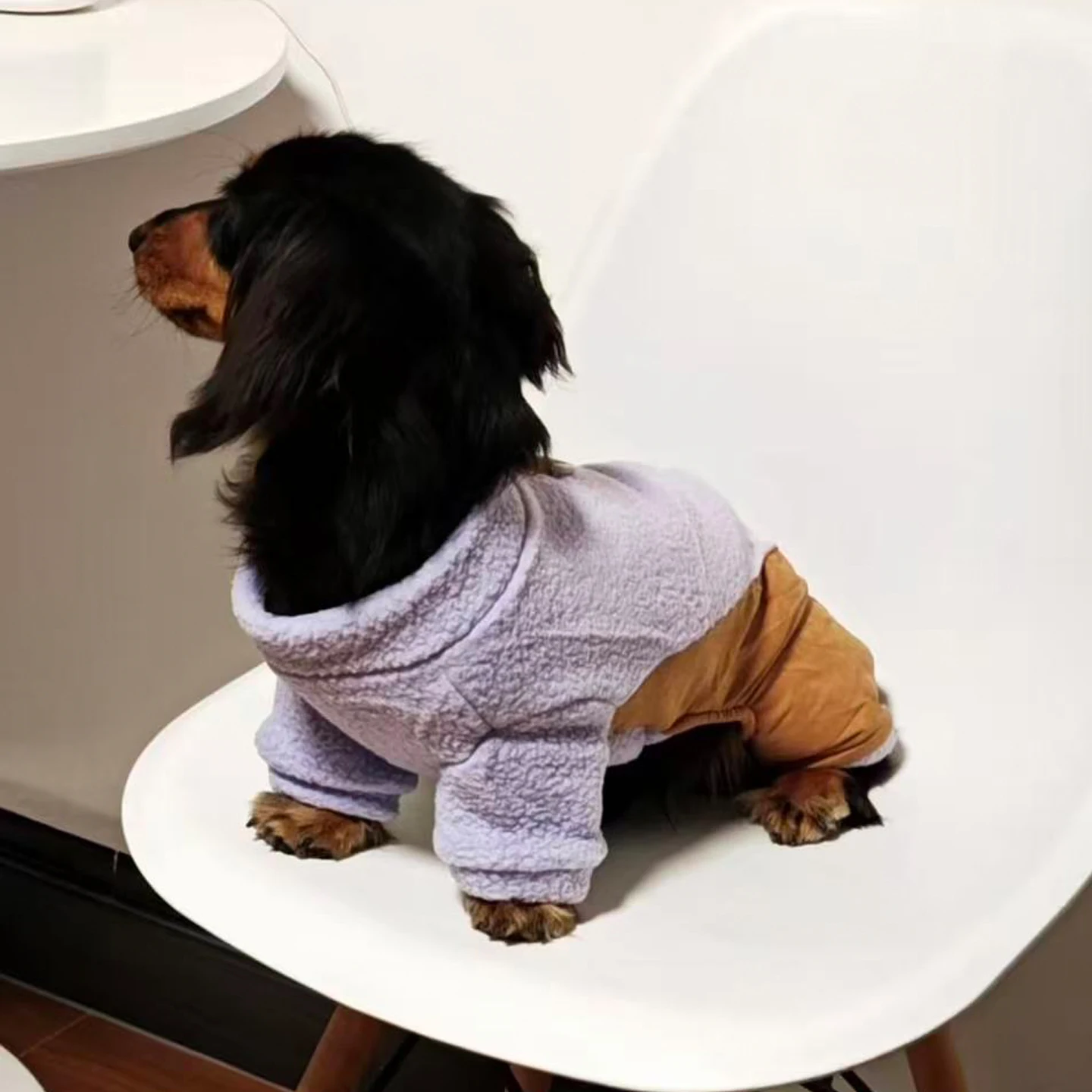 Sudadera morada para perro salchicha – Ropa suave primavera/otoño - imagen 2