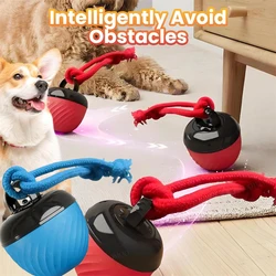 Pelota interactiva para gatos y perros – juguete inteligente USB