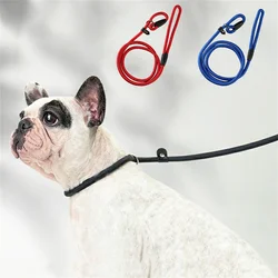 Correa extensible 2 en 1 para perros pequeños y medianos