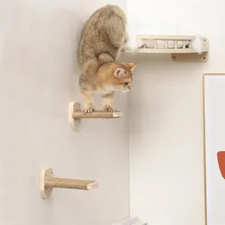 Estantes de escalada para gatos en pared con hamaca y rascadores