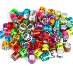 Anillos identificativos para palomas de carrera