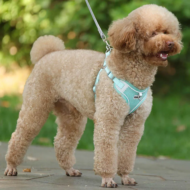 Arnés transpirable para gatos, chaleco para perros pequeños y medianos, conjunto de correa reflectante para el pecho, correa de plomo para caminar en Chihuahua - imagen 5
