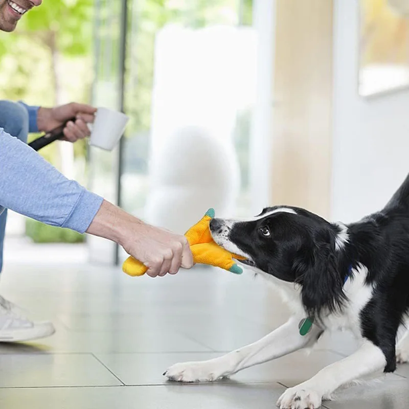 Juguete chirriante peluche para perros – Resistente y divertido - imagen 4