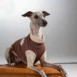 Camiseta algodón para Galgo Italiano y Whippet – Jersey primavera