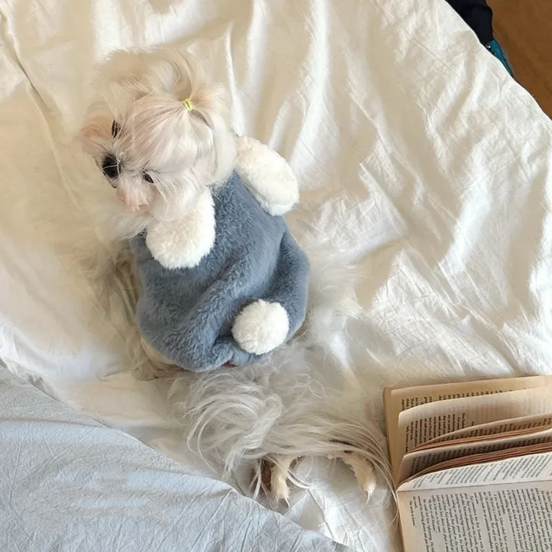 Ropa de invierno de felpa para mascotas, vestido con orejas de conejo para cachorros, ropa de dos piernas, ropa cálida bonita que el oso, abrigo para cachorros, ropa para mascotas - imagen 3