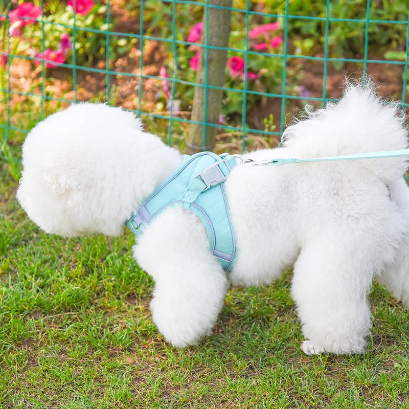 Conjunto de arnés y correa para perro, chaleco ajustable para cachorro pequeño y gato, accesorios para mascotas, Chihuahua, York, caminar, correr - imagen 5