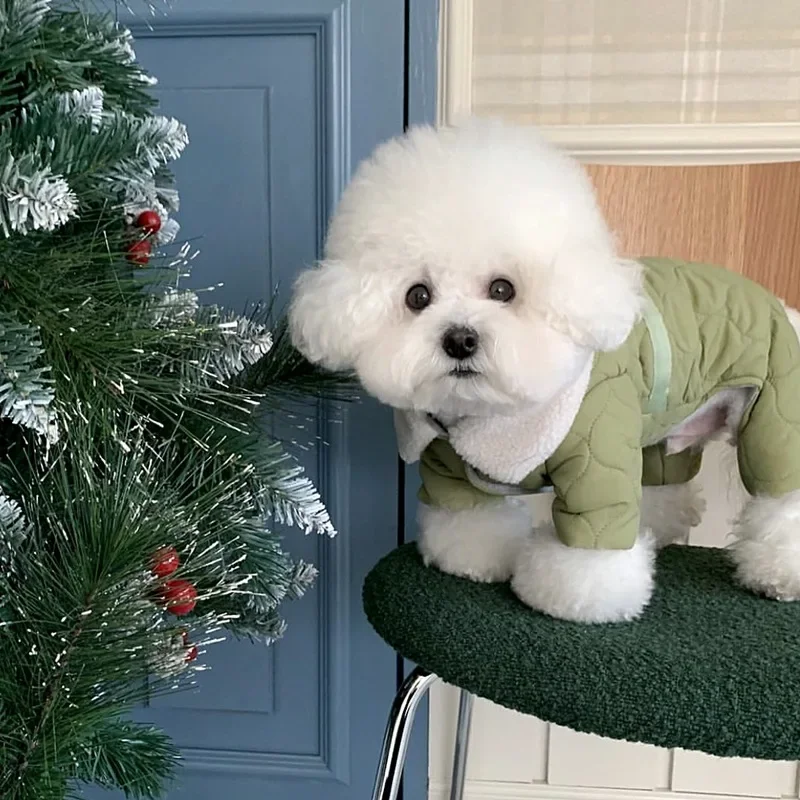 Abrigo de oso de peluche a cuadros cálido para invierno para mascotas, ropa para perros de otoño e invierno de cuatro patas, chaquetas gruesas para perros pequeños con oso de peluche a la moda - imagen 2